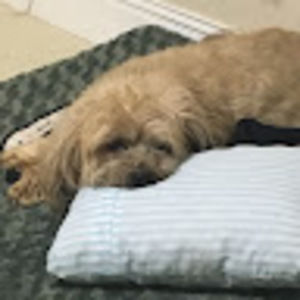 Meet your Posher, Danielle